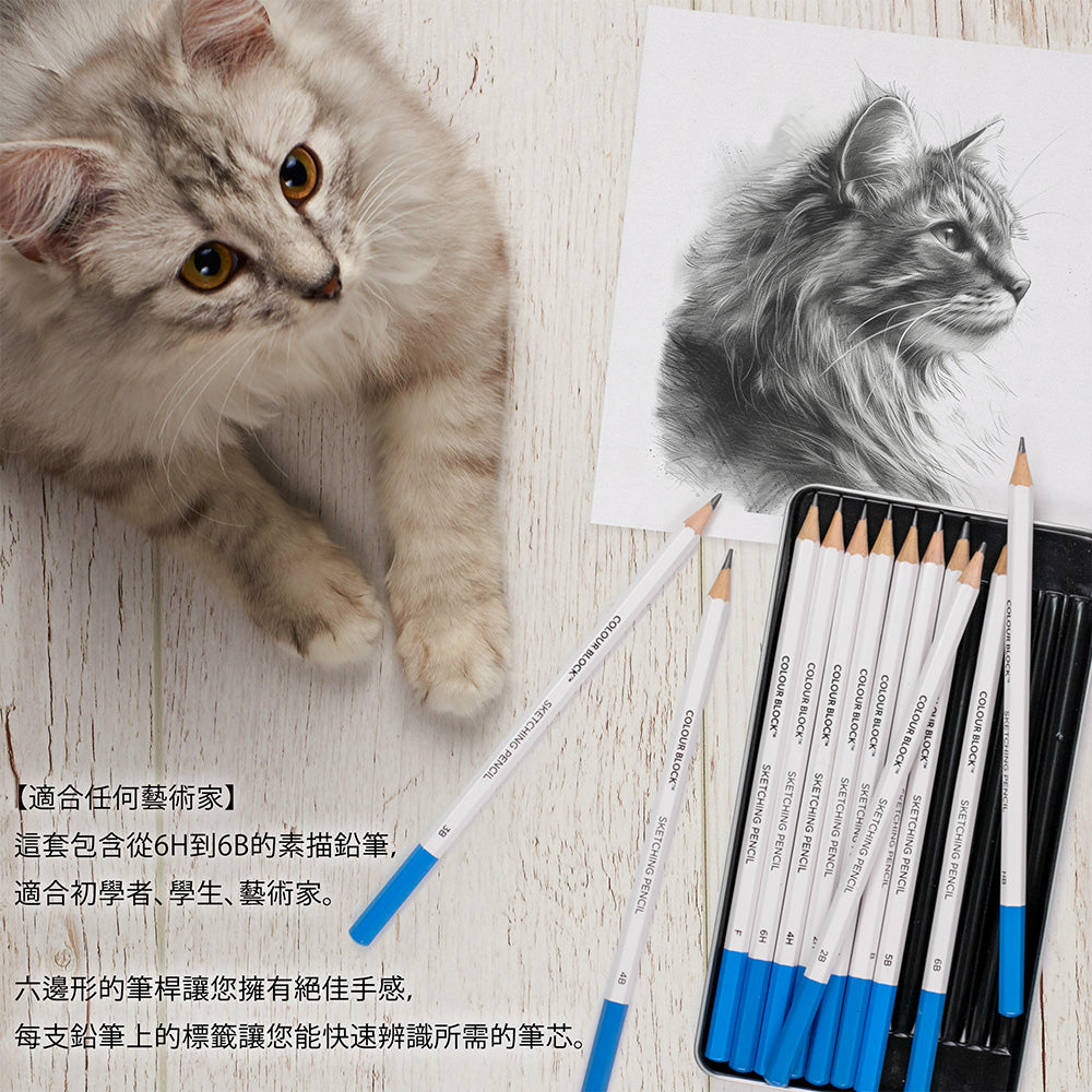 【COLOUR BLOCK】12PCS專業素描鉛筆組