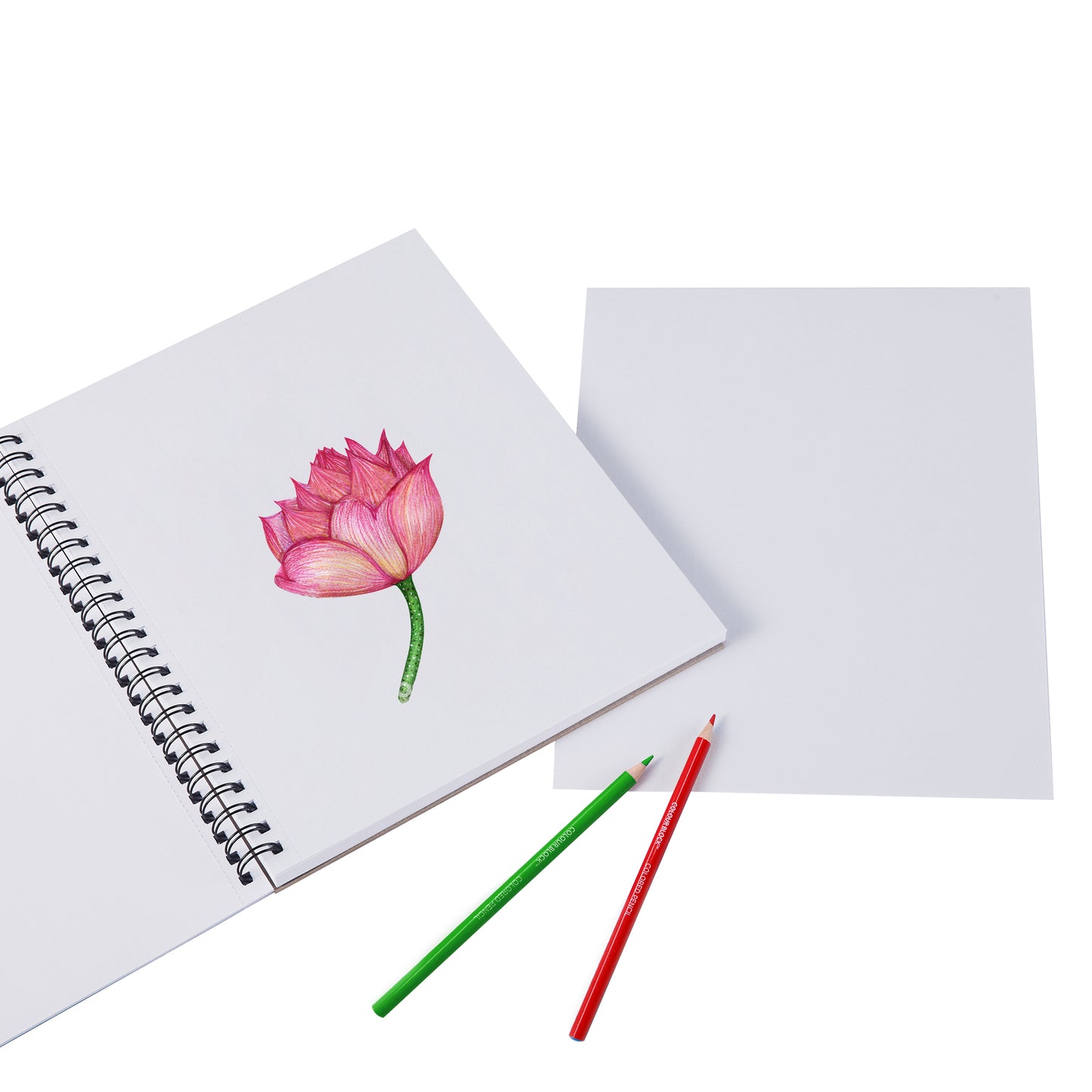 【COLOUR BLOCK】9x12 吋螺旋裝訂繪圖本 50張 環保無酸紙 學生 藝術家適用